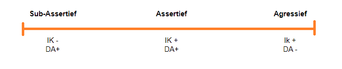 Assertief schema