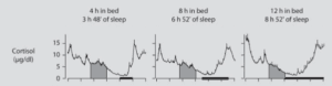 Cortisol tijdens slaap