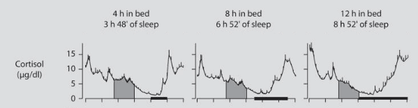 Cortisol tijdens slaap